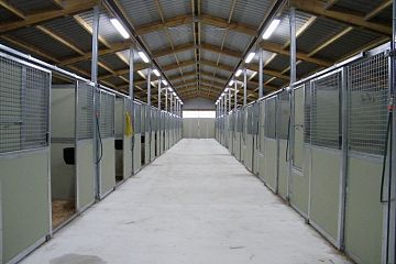 Inside the Yearling Barn