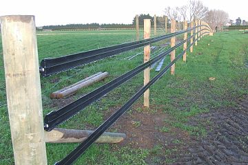 Horse Rail fencing for yearling paddocks
