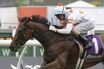 FIX - multiple Group winner, NZB Filly of the Year