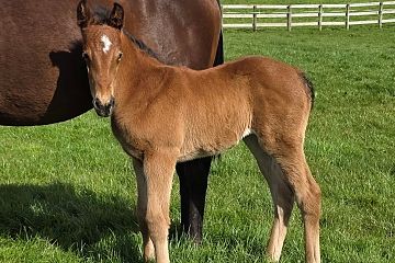 Hello Youmzain ex Award Winner  B,F.