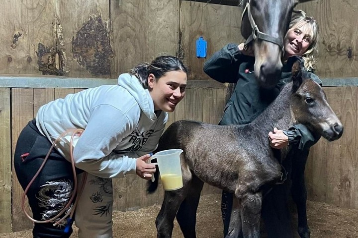 Haunui's Early Arrival Doing Well
