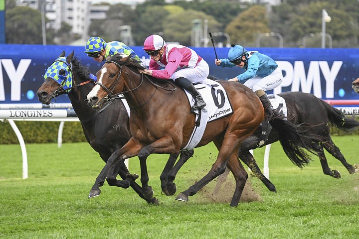 Showmanship continues winning ways