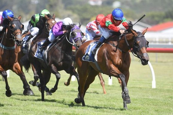 Promising stayer the Belle of the Ball at Wanganui