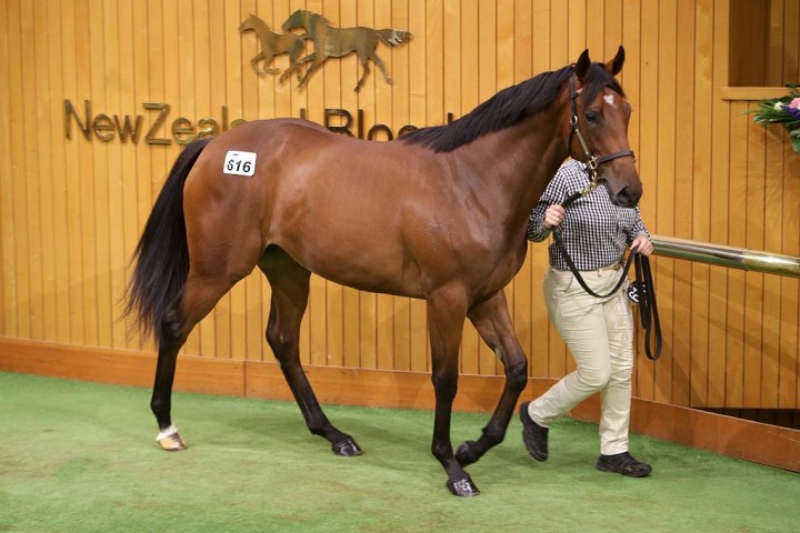 Moses digs deep for quality filly