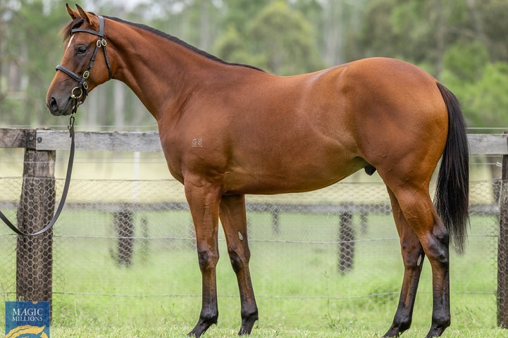 Haunui graduate scores in Sydney on debut