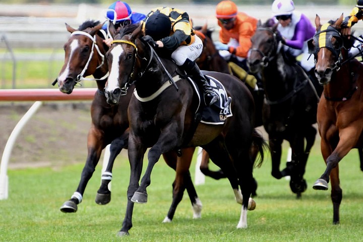 Haunui celebrate Pukekohe double