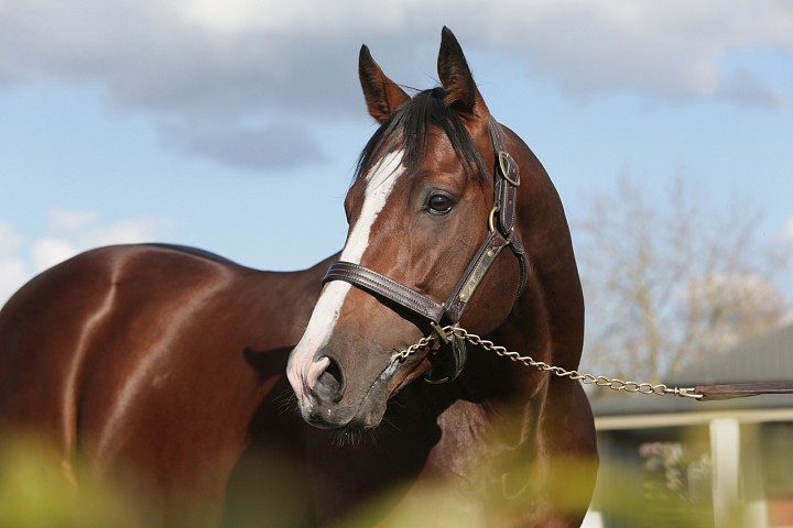 First G1 winner for Belardo