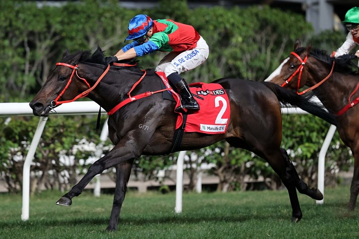 De Sousa pins FWD QEII Cup hopes on Money Catcher