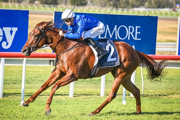 Red Card romps home in Denise's Joy Stakes