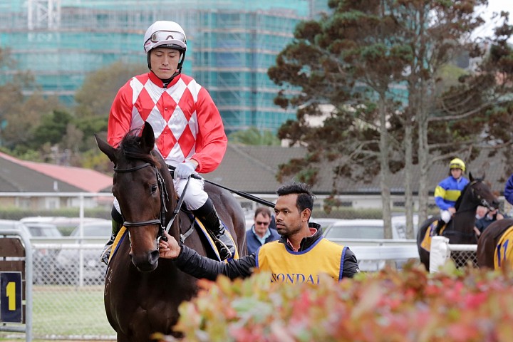 Orchestral to lead Hawke’s Bay 2YO assault