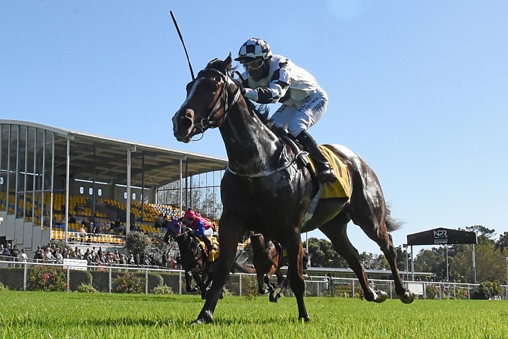 Castletown Stakes favourite sold 