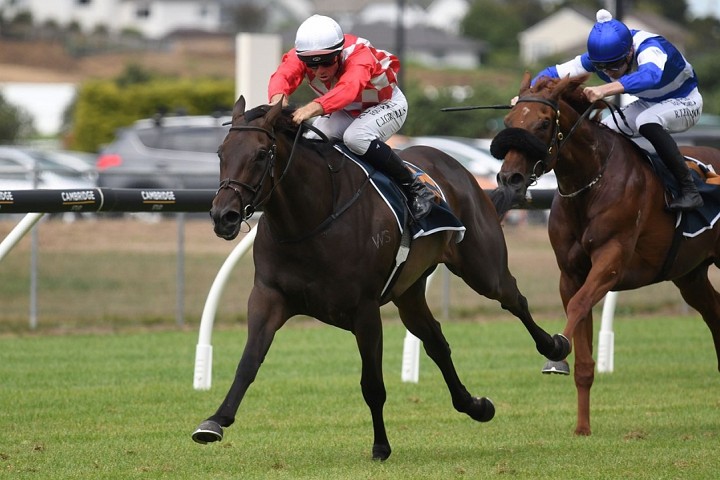 Orchestral a class above in Avondale Guineas