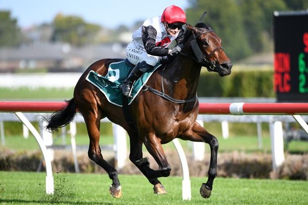 Acapelago all the way at Te Rapa