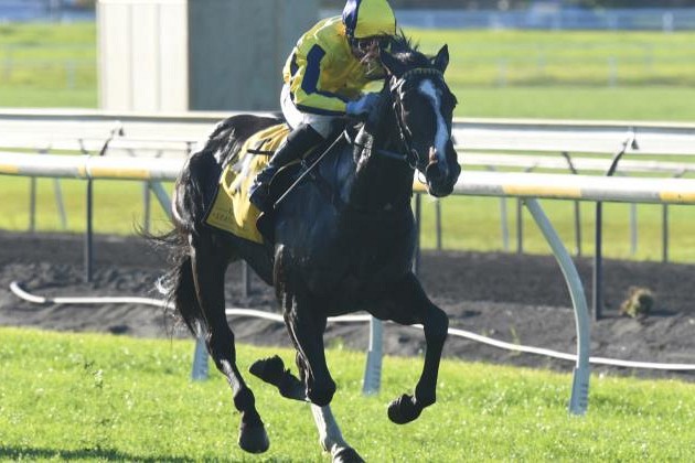 Ribkraka scores New Plymouth win