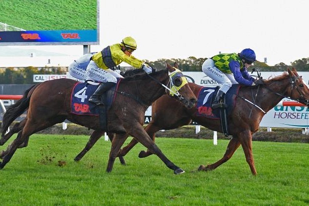 Caitlyns Wish relishes testing Te Rapa conditions