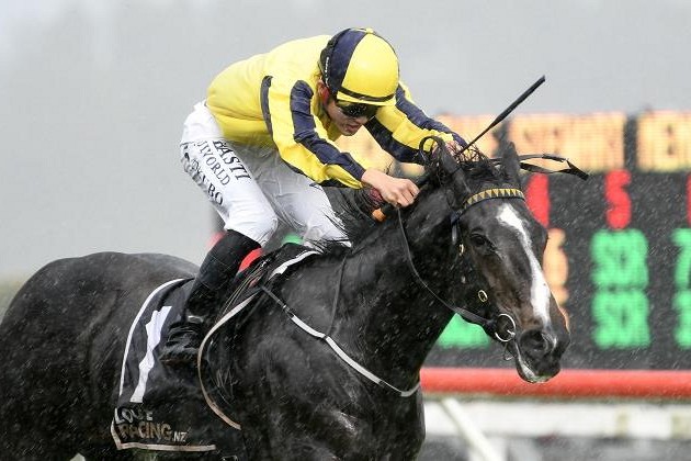 Ribkraka tops at Te Rapa