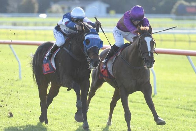 Big weight no concern for Belardo Boy