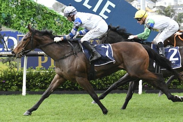 Lollapalooza soars to stunning Gold Trail win