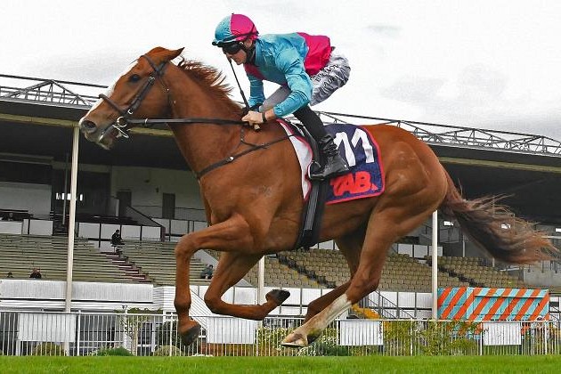 Whiskey ‘N Roses makes winning return