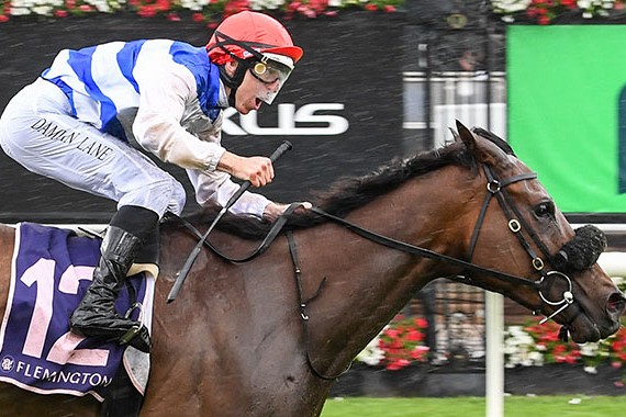 Whiskey ageing well as a stayer