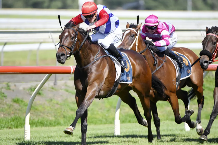 Midnight Edition claims Concorde Stakes