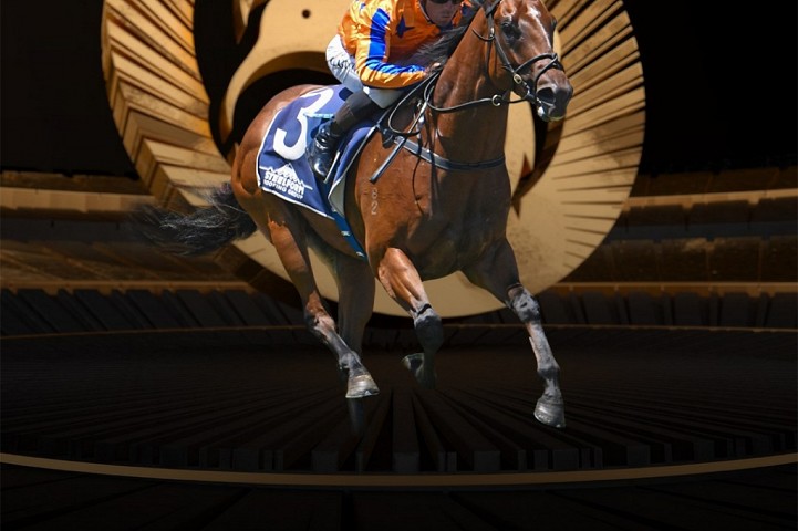 Third Haunui Farm graduate locked in for NZB Kiwi