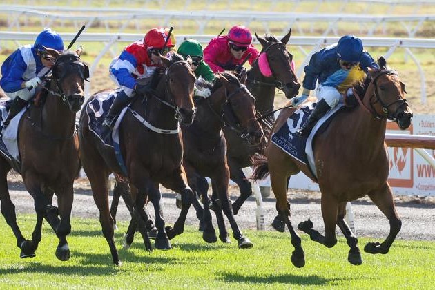 Haunui Farm graduate enchanting in Welcome Stakes