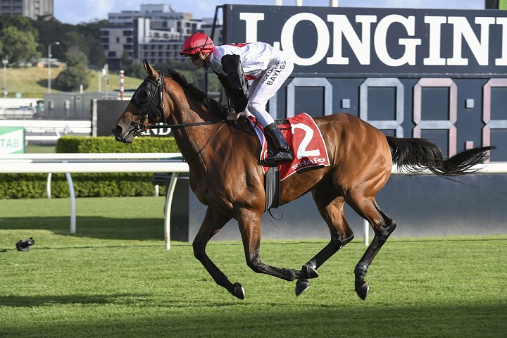 Remarkable breeding partnership ends with Gavelhouse Plus action