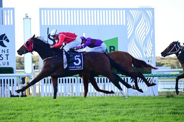 Cellarmaster storms home to claim Winx Guineas
