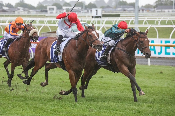 Haunui Farm clients up for Small Breeder of the Year Award