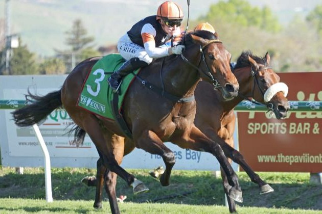 Thurlow unleashes future star in Hawke’s Bay Guineas