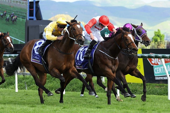 War Princess strikes Hastings hattrick